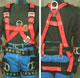66613, 6 D-Ring EagleTower LE Harness (Large)