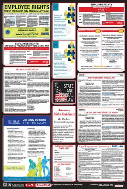 Accuform OSHA Safety Poster:Combination State,Federal&Labor Law Poster