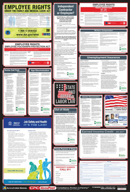 Accuform Osha Safety Poster:combination State,federal&labor Law Poster